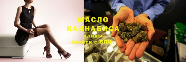 хмурый Каменка