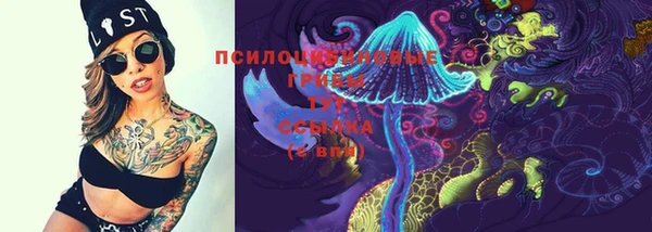 спайс Аркадак