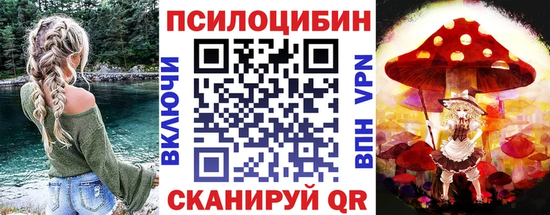 Галлюциногенные грибы Psilocybe  как найти   kraken маркетплейс  Ленск 